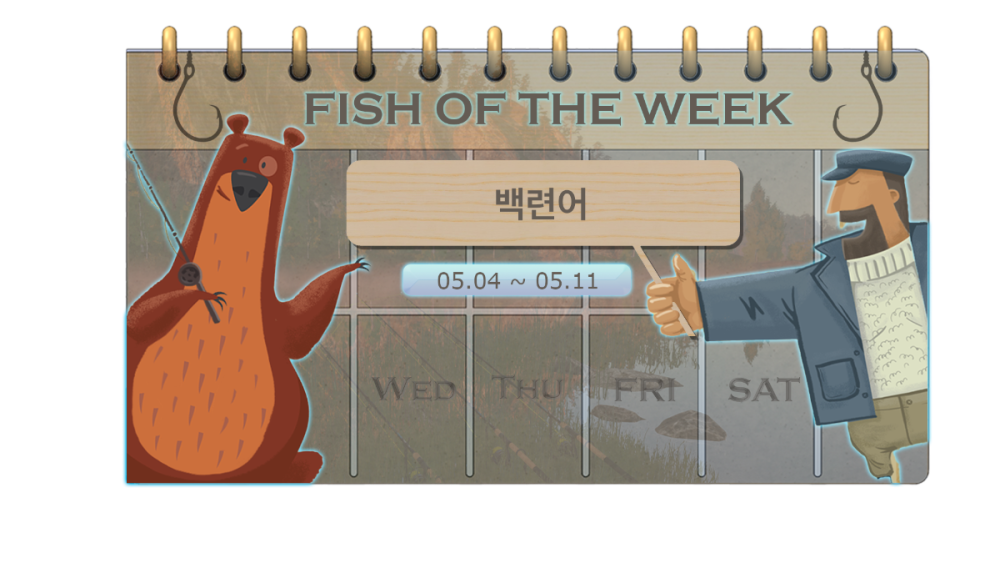 백련어.png